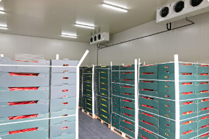 Frozen Food Storage