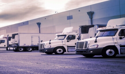 Free Trade Zone